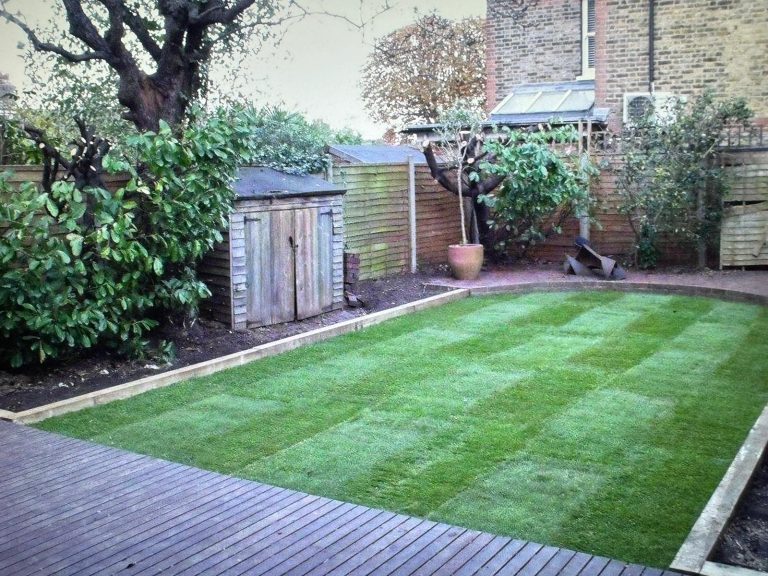 Professional garden clearance in London